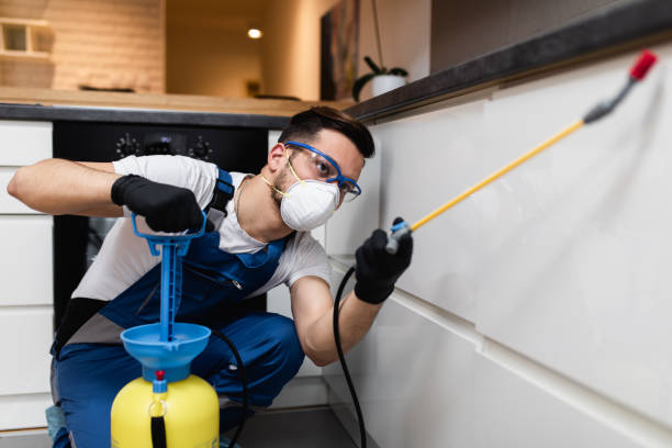 Best Affordable Pest Control Services  in Mazomanie, WI
