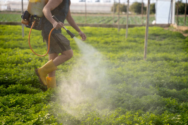 Best Pest Removal Services  in Mazomanie, WI