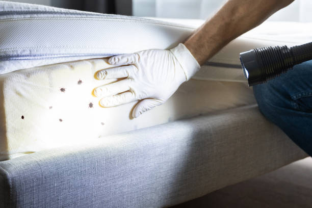 Best Pest Prevention Services  in Mazomanie, WI