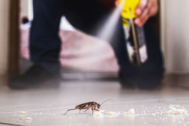 Best Best Pest Control Companies  in Mazomanie, WI