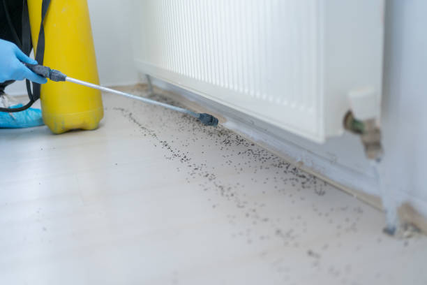 Best Wildlife Control Services  in Mazomanie, WI