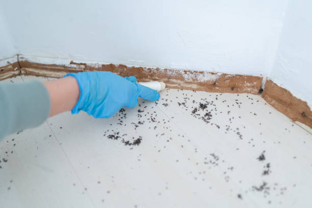 Best Pest Control for Homes  in Mazomanie, WI