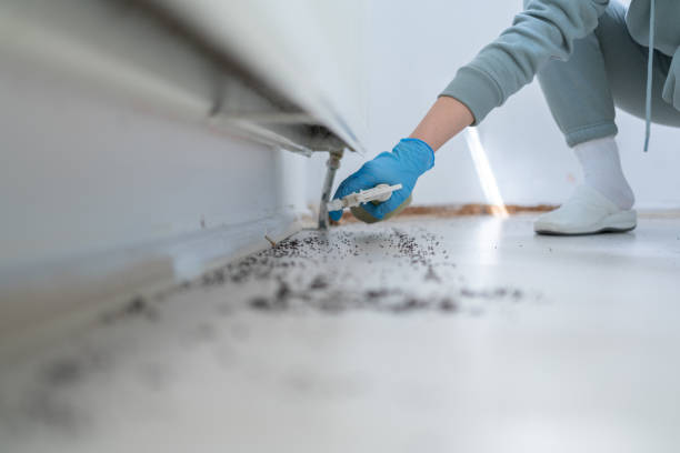 Best Termite Control Services  in Mazomanie, WI